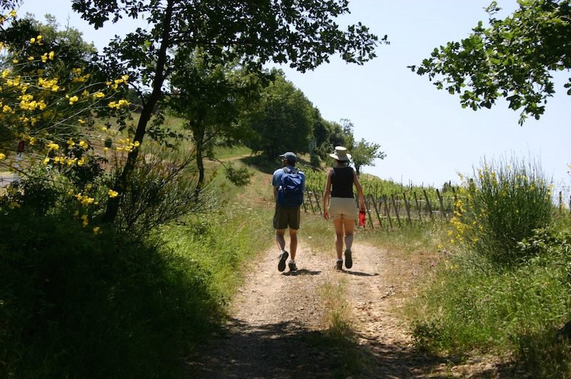 Hiking trials in Tuscany