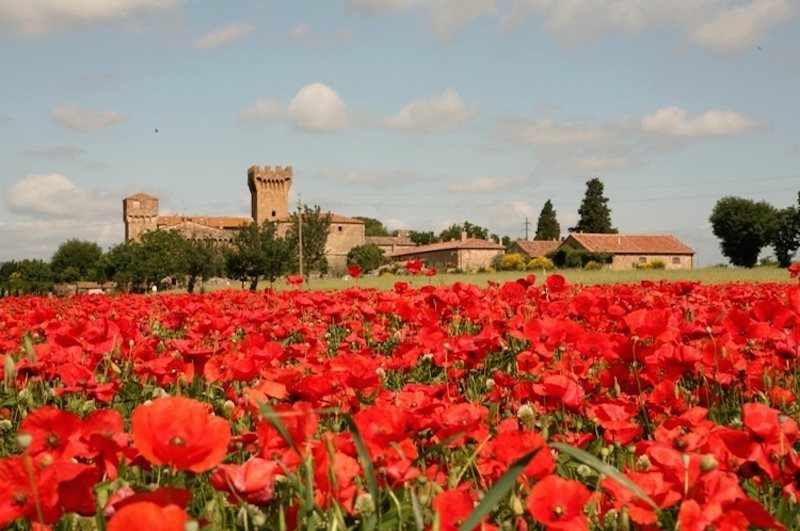 Castello di Spedaletto - Montalcino - Siena