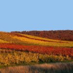 Autunno in Val d’Orcia, 3 itinerari per scoprire la Toscana più autentica